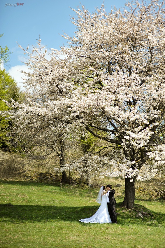 Marcela & Erik - 25.04.2015